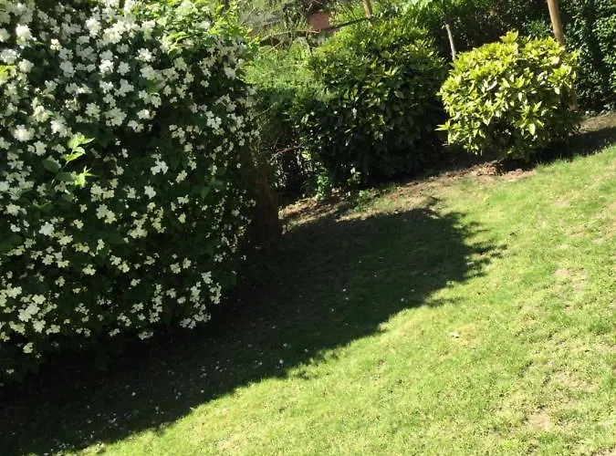 Superieur Vanille Hotel